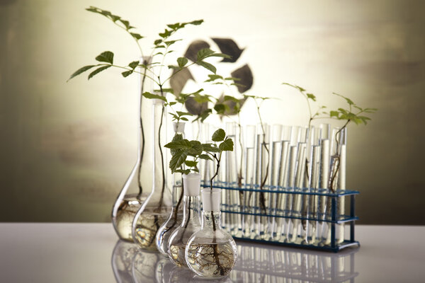Chemical laboratory glassware equipment, ecology