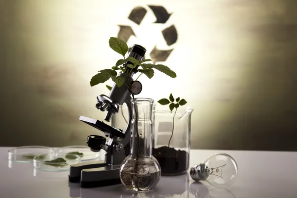 Glassvarer til kjemisk laboratoriebruk, økologi – stockfoto