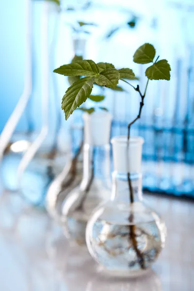 Plant laboratorium — Stockfoto
