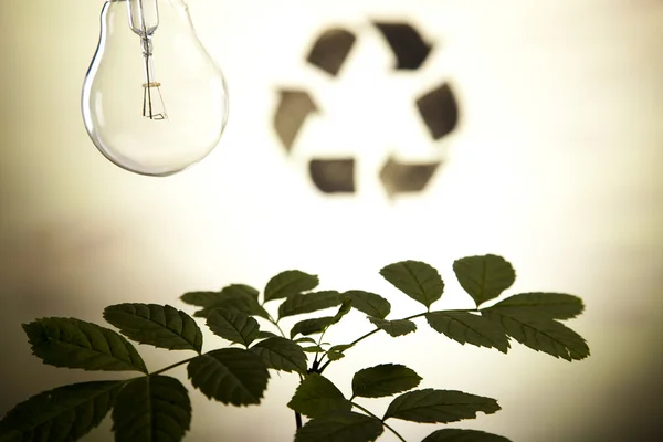 Recyklační závod, ekologie — Stock fotografie