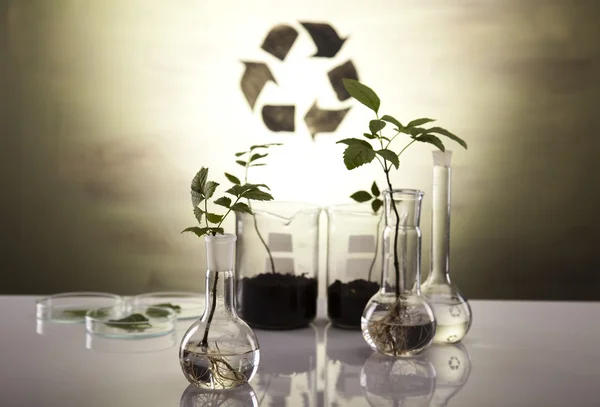 Recycling teken in laboratorium — Stockfoto