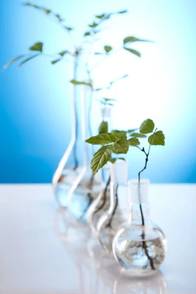 Plant laboratory — Zdjęcie stockowe