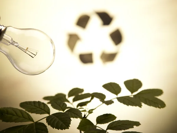 Recyklační závod, ekologie pozadíリサイクル プラント、生態学の背景 — Stock fotografie