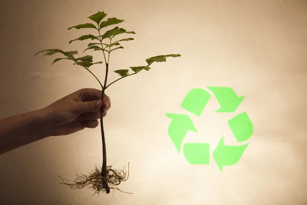 Usine de recyclage, fond écologique — Photo
