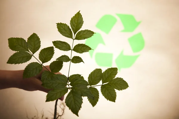 Planta de reciclaje, antecedentes de ecología — Foto de Stock