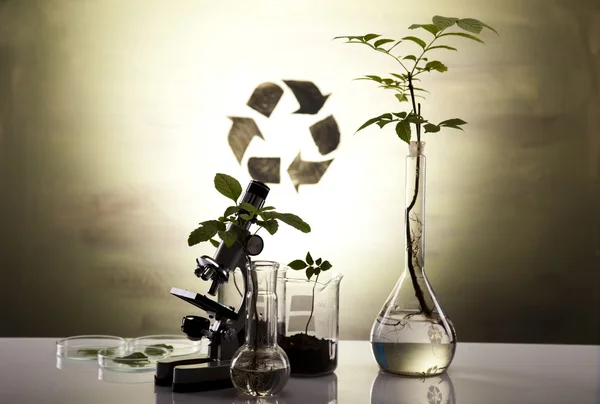 Ανακύκλωση σημάδι στο εργαστήριο — Φωτογραφία Αρχείου