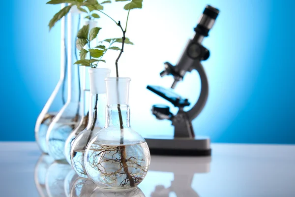 Blommig vetenskap i laboratorium — Stockfoto