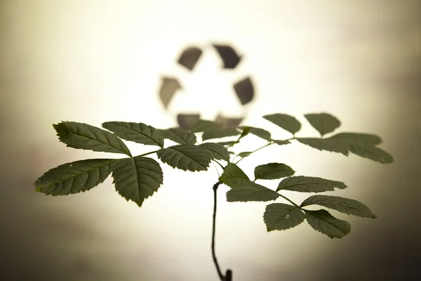 Usine et écologie, recyclage — Photo