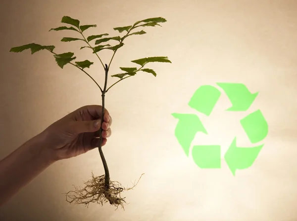 Planta de reciclagem, fundo ecologia — Fotografia de Stock