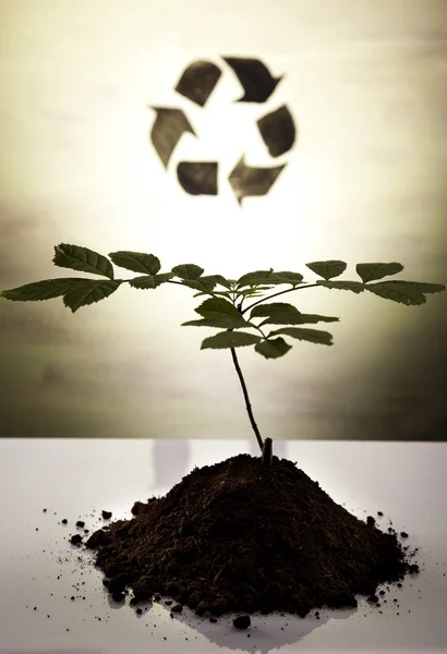 Planta de reciclagem, fundo ecologia — Fotografia de Stock