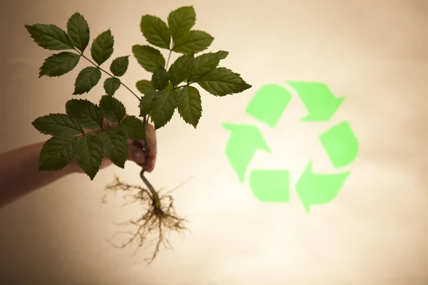 Planta de reciclaje — Foto de Stock