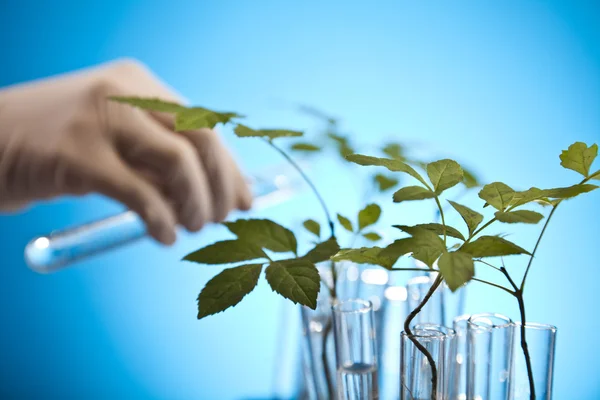 Plant laboratorium — Stockfoto