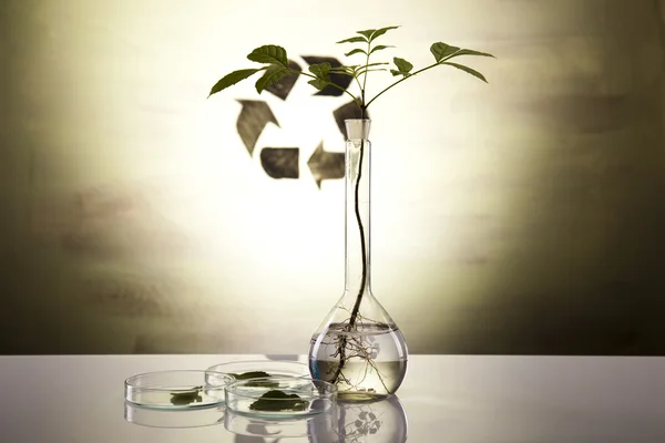 Stock image Recycling sign in laboratory