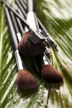 Cosmetic brushes clipart