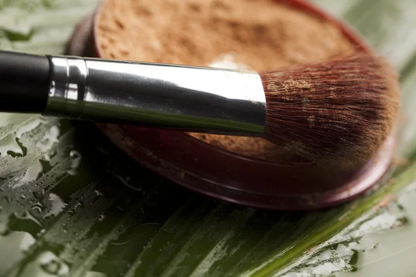 Brushes and face powder, make up — Stock Photo, Image