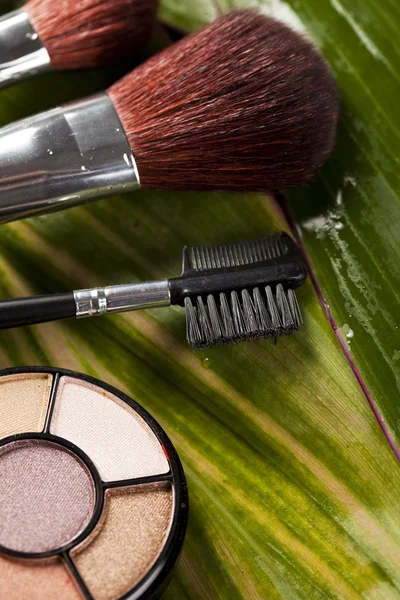 Cosmetics, make up accessories — Stock Photo, Image