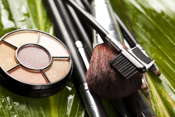 Professionele make-up set — Stockfoto