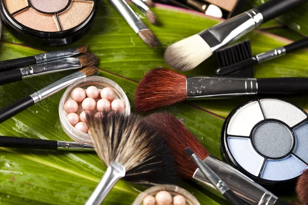 Profesionální make-up sada — Stock fotografie