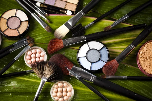 Professionele make-up set — Stockfoto