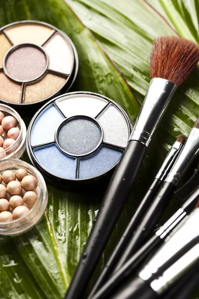 Zestaw kosmetyki do makijażu — Zdjęcie stockowe