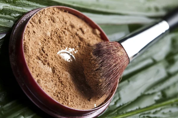 Brushes and face powder, make up — Stock Photo, Image