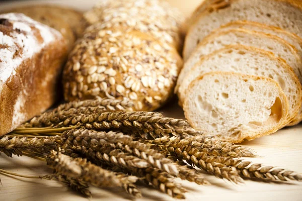 Verscheidenheid van brood — Stockfoto