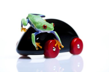 Toy car and frog clipart