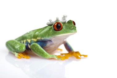 Princess frog clipart