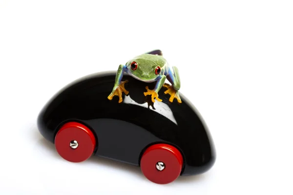 Wooden car and frog — Stock Photo, Image
