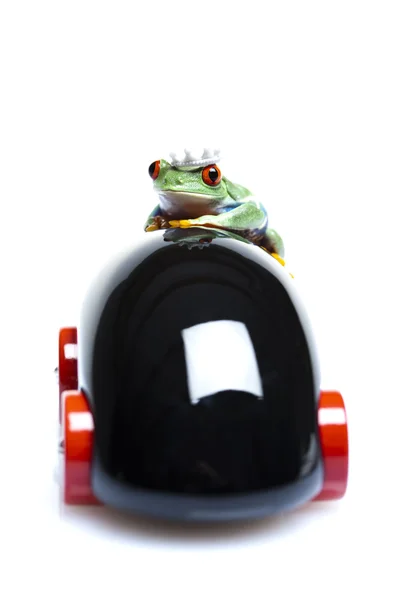 Дерев'яний автомобіль і жаба — стокове фото