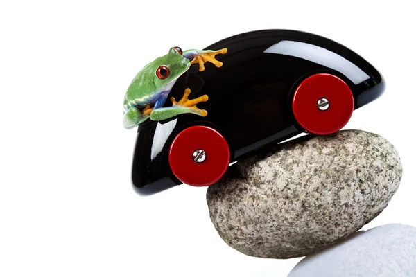 カエルと車 — ストック写真