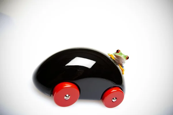 Samochód drewniany i żaba — Zdjęcie stockowe