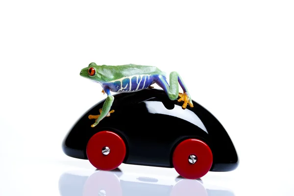 Oyuncak araba ve kurbağa — Stok fotoğraf