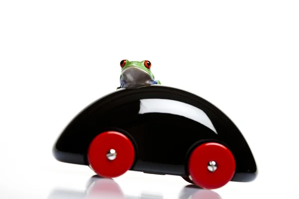 Toy car and frog — Stock Photo, Image