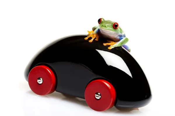 Frosk og bil – stockfoto