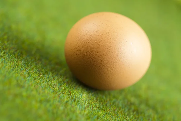 Vajíčko pozadí — Stock fotografie