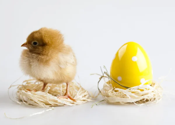 Happy Easter. — Stock Photo, Image