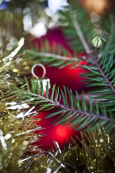 Bauble, árvore de Natal — Fotografia de Stock