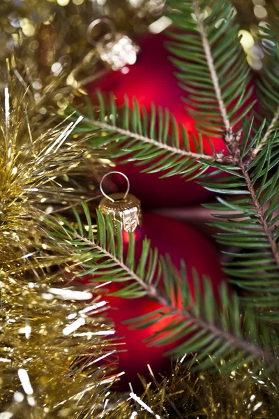 Strom Vánoční cetka — Stock fotografie