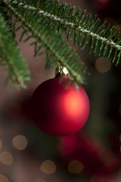 Christmas Tree Bauble — Stock Photo, Image