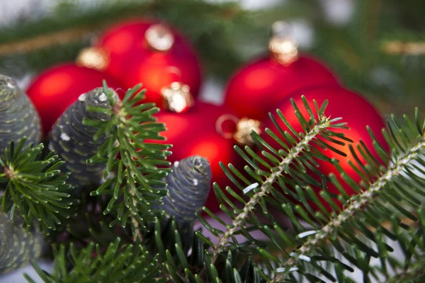 Ozdoby na vánoční stromeček, smrk, — Stock fotografie