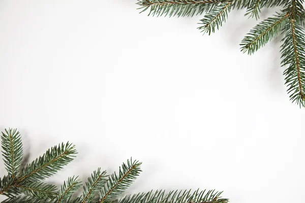 Cut spruce and Christmas frame — Stock Photo, Image