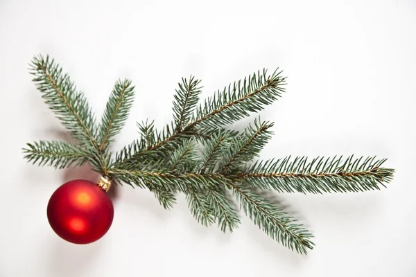 Bauble kerstboom — Stockfoto
