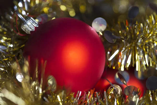 가문비나무, 값싼 물건, 크리스마스 트리 — 스톡 사진
