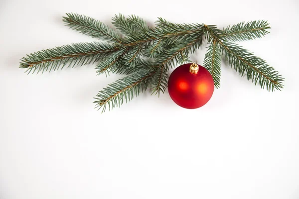 Vuren, bauble, kerstboom — Stockfoto