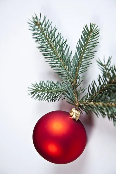 Abeto, bauble, Árvore de Natal — Fotografia de Stock
