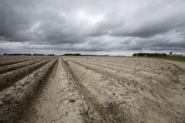 Farma krajina s vzorem v suché zemi — Stock fotografie