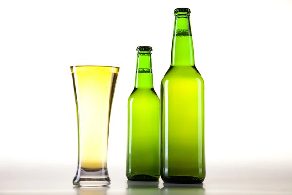 Coleção de cerveja, vidro em estúdio — Fotografia de Stock