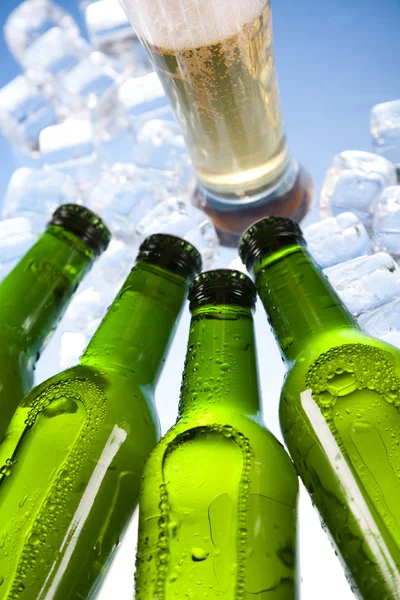 Zelená láhev piva — Stock fotografie
