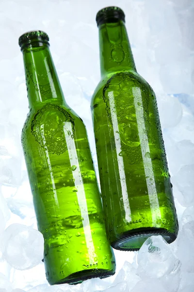 Flasche Bier — Stockfoto